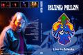 BlindMelon_2008-08-12_AtlantaGA_DVD_1cover.jpg