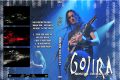 Gojira_2010-04-24_MoscowRussia_DVD_1cover.jpg
