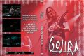 Gojira_2010-04-25_MoscowRussia_DVD_1cover.jpg