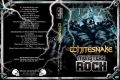 Whitesnake_2013-10-20_SaoPauloBrazil_DVD_1cover.jpg