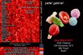 PeterGabriel_2011-11-13_PauliniaBrazil_DVD_1cover.jpg
