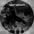 AmonAmarth_2012-08-04_WackenGermany_BluRay_2disc.jpg