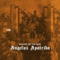 AngelusApatrida_2010-07-31_ViveroSpain_DVD_2disc.jpg