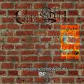 CypressHill_1994-08-13_SaugertiesNY_DVD_2disc.jpg
