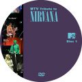 Nirvana_xxxx-xx-xx_MTVTributeToNirvana_DVD_2disc1.jpg
