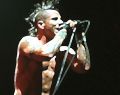 RedHotChiliPeppers_2000-01-30_MelbourneAustralia_CD_3inlay.jpg