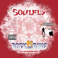 Soulfly_2006-06-03_NurburgGermany_DVD_alt2disc.jpg