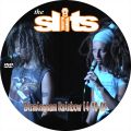 TheSlits_2009-10-14_BirminghamEngland_DVD_2disc.jpg