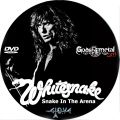 Whitesnake_2011-06-22_MilanItaly_DVD_2disc.jpg